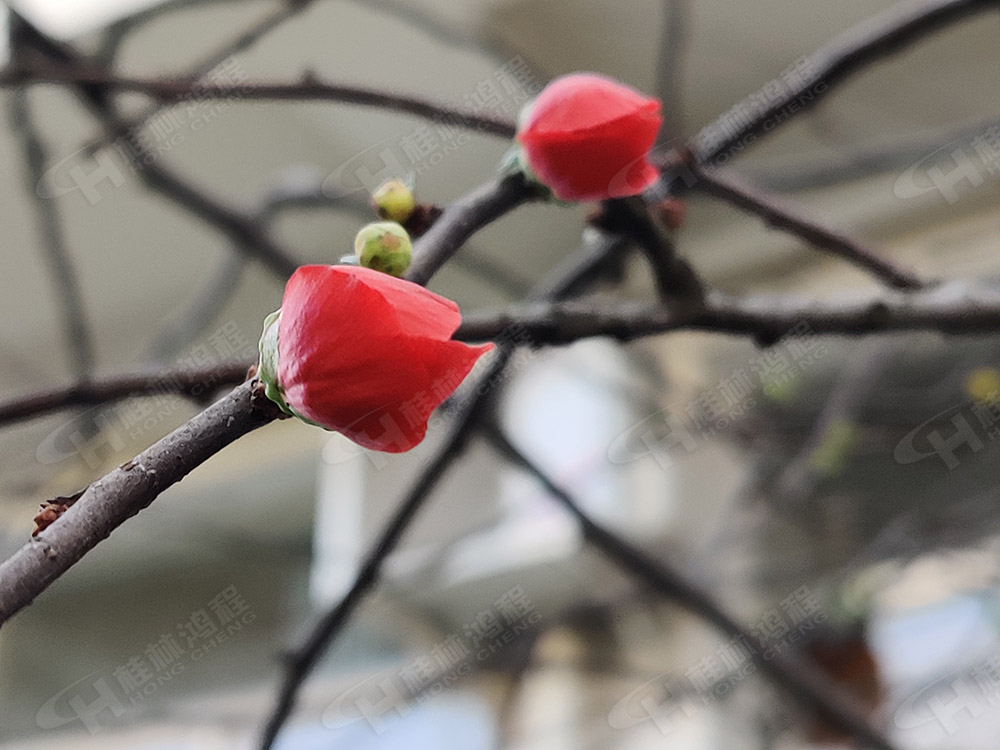 桂林鴻程花團錦簇，滿園春色，邀您一起共賞春景，共商大計！