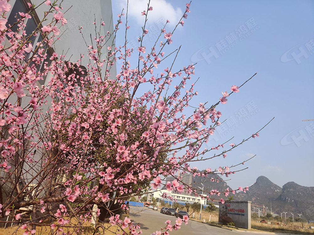 桂林鴻程花團錦簇，滿園春色，邀您一起共賞春景，共商大計！